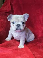 processed/83a1ed75-e46a-4ba1-8f35-f362521dbbee/listing/2ac7624c-585f-464a-bdb2-05cda92d2c4e/70ceef6b-da9a-4e6a-aea7-a4b6cb5e6072