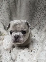 processed/83a1ed75-e46a-4ba1-8f35-f362521dbbee/listing/2ac7624c-585f-464a-bdb2-05cda92d2c4e/720f0b9c-48f9-4111-a07f-0c54d2fa3eed