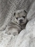 processed/83a1ed75-e46a-4ba1-8f35-f362521dbbee/listing/2ac7624c-585f-464a-bdb2-05cda92d2c4e/9f4fb76b-7f8f-4b39-b6c3-b240aa2ecc6d