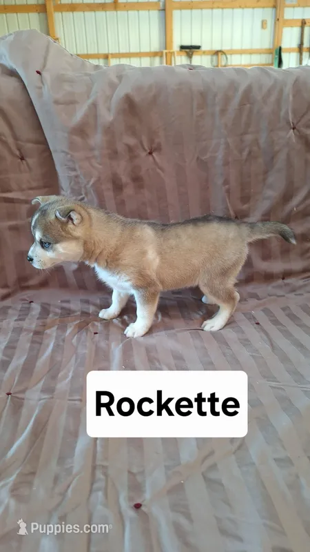 Rockette