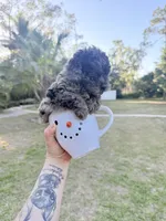 You name, a male Poodle - Toy  for sale in Naples, FL – Photo 3 of 5