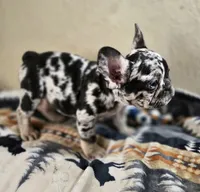 processed/83a895b2-ce4f-4890-bb18-7ab4d97d5977/listing/3a0a0205-aa01-478f-b24c-3cf3e05b39b6/920c11e7-bc29-45dd-bf5b-75c30c418f53