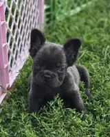 processed/83a895b2-ce4f-4890-bb18-7ab4d97d5977/listing/c8c6d7a7-5193-4a9a-b69f-4ee118a4ef6b/5d81d0e7-fd40-47ec-9207-055f54a1b445