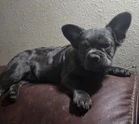 processed/83a895b2-ce4f-4890-bb18-7ab4d97d5977/listing/c8c6d7a7-5193-4a9a-b69f-4ee118a4ef6b/82c3704a-0e27-4a87-8cbc-a6794a0c87d1