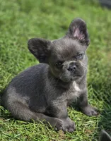 processed/83a895b2-ce4f-4890-bb18-7ab4d97d5977/listing/c8c6d7a7-5193-4a9a-b69f-4ee118a4ef6b/f0ffede2-6024-4ecb-89cb-cd193f0a00c0