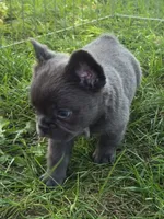 processed/83a895b2-ce4f-4890-bb18-7ab4d97d5977/listing/c8c6d7a7-5193-4a9a-b69f-4ee118a4ef6b/f297b439-ea42-4f46-b880-e0fdc2c36493