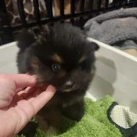 processed/83c33568-0052-49a4-b514-e884cb7b8d50/listing/d36249ac-8699-4501-ad1e-262d9c0525df/a16f4789-d066-43e3-b1ae-ca2519b8a1d6