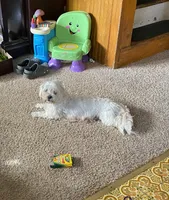 processed/83cf5ff9-246e-4a32-832e-510eb1881b42/listing/53ba3eb1-812d-4f6a-96b9-80fa782d6461/9ea0bf37-46bd-4e2d-b14c-804e5d007fad