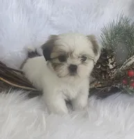 processed/83cf5ff9-246e-4a32-832e-510eb1881b42/listing/6229f16a-81e6-4a1f-9021-b8919e93649e/4bec7c45-a464-46ad-aab0-4b90e62f9276