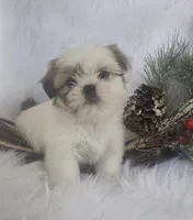 processed/83cf5ff9-246e-4a32-832e-510eb1881b42/listing/6229f16a-81e6-4a1f-9021-b8919e93649e/55dbff40-bb85-4bb7-99f3-4f076529a4b1