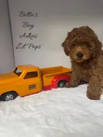 processed/83de5b95-0a6f-4c49-8126-6ffbc84ade0e/listing/083af339-f7f3-4ed3-b197-d44188a6d8a8/a83ea3cf-6318-4c39-acd9-3d1c388a7260