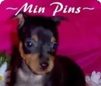 processed/83e3796a-57fb-47e2-8743-6916f2319d97/facility/60fe8502-27a3-4b90-b9c9-376d2848a588