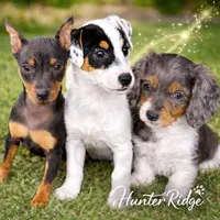 processed/83e3796a-57fb-47e2-8743-6916f2319d97/facility/d50927b8-0463-497b-8d88-5afbbaa5e441