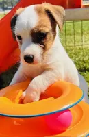 processed/83e3796a-57fb-47e2-8743-6916f2319d97/listing/71a4e6c8-77a5-4240-9d12-7f612378d56d/71a4e6c8-77a5-4240-9d12-7f612378d56d/84ff961b-d82a-48f6-af89-ffeef28c81bd