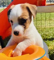 processed/83e3796a-57fb-47e2-8743-6916f2319d97/listing/71a4e6c8-77a5-4240-9d12-7f612378d56d/909272d1-a221-4eb1-84a1-46a8dce0295c