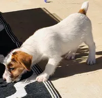 processed/83e3796a-57fb-47e2-8743-6916f2319d97/listing/71a4e6c8-77a5-4240-9d12-7f612378d56d/a4e88d0a-72be-447d-a436-a07c4bed1c22