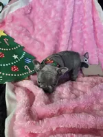 processed/83ea0c31-b2bf-40e6-8ea8-75c645b5fb93/listing/04eff6a2-31c5-4c6d-9f5f-448015a3646a/22829828-593b-45db-a304-e0aebdf73b29