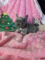 processed/83ea0c31-b2bf-40e6-8ea8-75c645b5fb93/listing/04eff6a2-31c5-4c6d-9f5f-448015a3646a/43dd48c6-e885-40e2-90da-b19b5d717d28