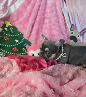 processed/83ea0c31-b2bf-40e6-8ea8-75c645b5fb93/listing/063b664f-b675-4d93-a6a2-af6e078235fe/21237b7a-7cef-41bd-8ffc-4e674a468b0b