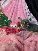 processed/83ea0c31-b2bf-40e6-8ea8-75c645b5fb93/listing/063b664f-b675-4d93-a6a2-af6e078235fe/acecc449-bcfd-45f8-ac7f-9a4d18679495