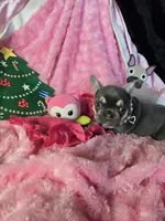 processed/83ea0c31-b2bf-40e6-8ea8-75c645b5fb93/listing/063b664f-b675-4d93-a6a2-af6e078235fe/adfe43f1-e51e-4524-a586-daea463920c8