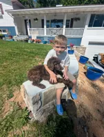 Coco Chanel , a female Poodle - Standard  for sale in Myrtle Beach, SC – 2 of 9