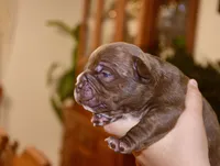 processed/840c7a3e-5d85-4b88-ac9a-dfd268db79b7/listing/02fd56df-1154-4e13-84c2-934bd44cdb68/83f1db23-0d71-43f5-ada6-11fe9bd0b0e5