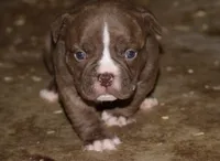 processed/840c7a3e-5d85-4b88-ac9a-dfd268db79b7/listing/54fb3b59-ab27-4bb8-9e04-733dbc2b9797/28295333-e5b5-4aed-9226-b111e4125968