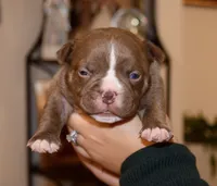 processed/840c7a3e-5d85-4b88-ac9a-dfd268db79b7/listing/99867051-0dde-4678-be22-69e474b59f95/43a03511-ae13-4d03-b84a-f89fcb4bf163