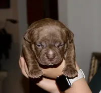 processed/840c7a3e-5d85-4b88-ac9a-dfd268db79b7/listing/cdf75fd4-96ff-47dd-9888-dc5e1085acc4/e5ff175a-8d8e-4298-a321-69a558e694ff