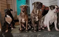 Facility photo
