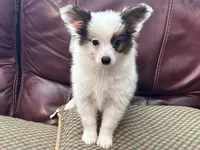 processed/841e6136-95cc-4844-96df-f1caf0db2314/listing/d4ab6213-620e-47e6-9f87-169e86dc0fbf/0e156dc4-b96f-44d0-af6c-a1a0040b04bf