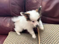 processed/841e6136-95cc-4844-96df-f1caf0db2314/listing/d4ab6213-620e-47e6-9f87-169e86dc0fbf/8f5e3421-2dbe-4f3f-8d87-07725ec7940f