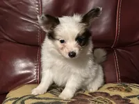 processed/841e6136-95cc-4844-96df-f1caf0db2314/listing/d4ab6213-620e-47e6-9f87-169e86dc0fbf/9f0d7a49-13ab-4fa2-a247-5779e1120962