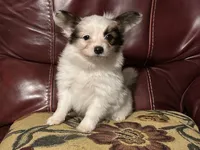 processed/841e6136-95cc-4844-96df-f1caf0db2314/listing/d4ab6213-620e-47e6-9f87-169e86dc0fbf/b6fe818e-3c74-486d-9033-b3a134f8bfd8