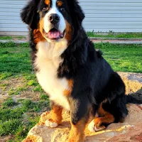 processed/841fa960-787b-46a6-8dfe-d9458fdc1602/facility/08dc99b6-203e-40ee-8952-d3ea45a3d4fe