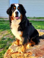 processed/841fa960-787b-46a6-8dfe-d9458fdc1602/facility/08dc99b6-203e-40ee-8952-d3ea45a3d4fe