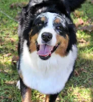 processed/841fa960-787b-46a6-8dfe-d9458fdc1602/listing/8dd44d8d-3eca-4639-a35b-edf7f6e2a17d/ce2493cc-87a6-4133-99e5-1ee7bc6db7f1