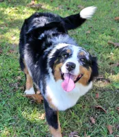 processed/841fa960-787b-46a6-8dfe-d9458fdc1602/listing/8dd44d8d-3eca-4639-a35b-edf7f6e2a17d/d7f1e3ba-9290-4c07-8fc2-e00137cd67ea