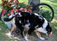 processed/841fa960-787b-46a6-8dfe-d9458fdc1602/listing/8dd44d8d-3eca-4639-a35b-edf7f6e2a17d/fc2245b9-c146-4c6c-b88e-dbd8539d7e7b