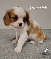 processed/84234035-f485-4f48-ac4e-69748eb2d606/listing/66c0b165-2086-4ecd-93ce-eb4ad95211bb/48d89978-45b3-4e9d-ab8f-d5786437703c