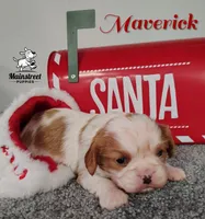 processed/84234035-f485-4f48-ac4e-69748eb2d606/listing/66c0b165-2086-4ecd-93ce-eb4ad95211bb/545512f4-3add-420e-b2ea-4f0da1f086e6