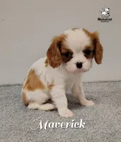 processed/84234035-f485-4f48-ac4e-69748eb2d606/listing/66c0b165-2086-4ecd-93ce-eb4ad95211bb/92595902-8423-4733-929d-33a19ae9e5e1