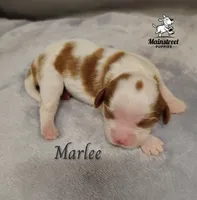 processed/84234035-f485-4f48-ac4e-69748eb2d606/listing/7b03d1dd-255f-43fb-baa1-76d460e8cd5a/057611d2-3347-4770-bc9e-706386edc78d