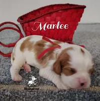 processed/84234035-f485-4f48-ac4e-69748eb2d606/listing/7b03d1dd-255f-43fb-baa1-76d460e8cd5a/88adc6d3-0291-432c-9312-f5d27eeef9ef