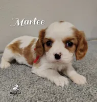 processed/84234035-f485-4f48-ac4e-69748eb2d606/listing/7b03d1dd-255f-43fb-baa1-76d460e8cd5a/ec8c9094-20f1-4136-b0cd-b58e58f782ad