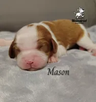 processed/84234035-f485-4f48-ac4e-69748eb2d606/listing/bb7126aa-d917-43c3-9193-b93de3c38905/9772871d-9580-4989-91c0-8c8c9f8282e9