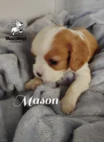 processed/84234035-f485-4f48-ac4e-69748eb2d606/listing/bb7126aa-d917-43c3-9193-b93de3c38905/d3020206-29ad-49b3-beea-75730995ea0c