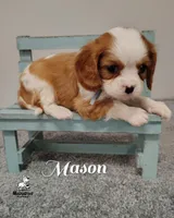 processed/84234035-f485-4f48-ac4e-69748eb2d606/listing/bb7126aa-d917-43c3-9193-b93de3c38905/d581295e-d205-4928-8e16-69a1c3b030f9