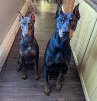 processed/8429a508-f7ef-4592-a731-caee94180d50/facility/636d5c02-28ae-4d61-b940-5762582c780f